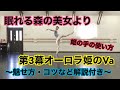 【バレエ】眠れる森の美女より第3幕オーロラ姫のVa〜解説付き〜【ヴァリエーション】