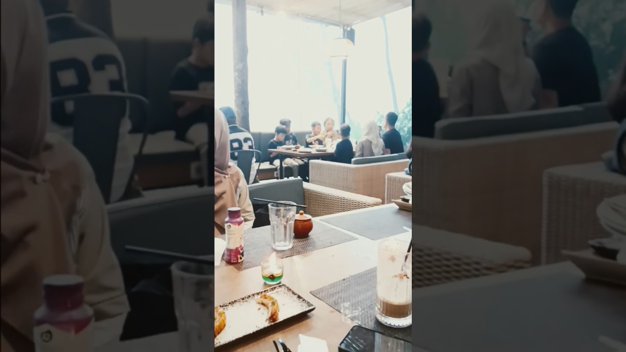 kopi daong hutan pinus