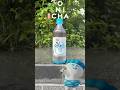 ヒカキンが作った麦茶のCMを作ってみた #shorts #onicha #onichaレンジ #cm