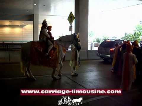 Indian Baraat Horse - Indian Wedding Horse 2b - Carriage LimGolden weddingine Service - Horse Drawn Carriages