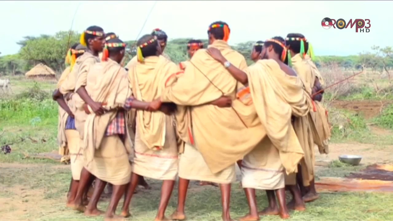 Waaqoo Calloo Karrayyuu Oromo Music YouTube waaqoo-calloo-karrayyuu-oromo-music-youtube