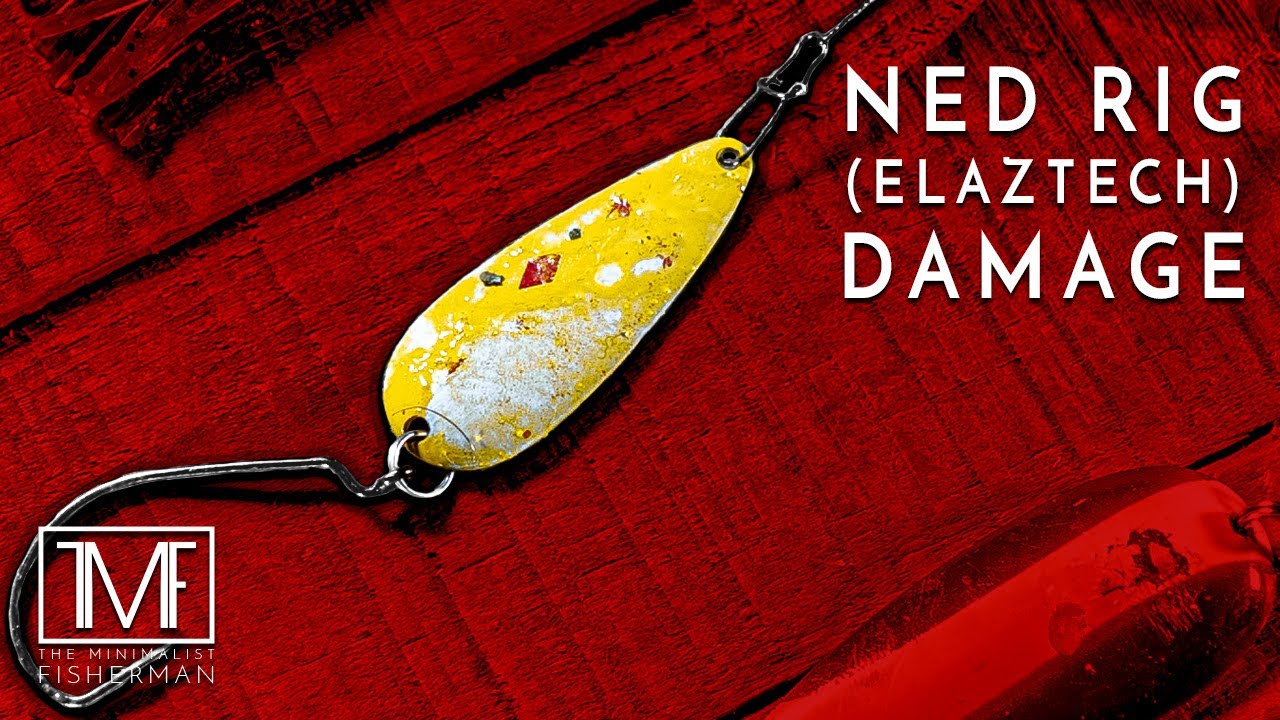 Ned Rig ElaZtech Damage to Other Baits 