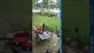 Tree collapses outside of home