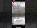 Crni panter ponovo viđen u Srbiji (VIDEO)