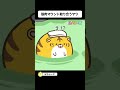【15秒版】１６話「ぽちゃトラvsぽちゃゾウ」【ぽちゃーズ】