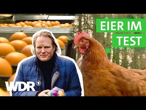 Video: 3 Möglichkeiten, um zu verhindern, dass Hühner ihre eigenen Eier essen