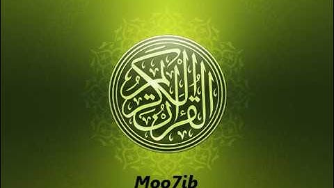 سورة المجادلة بصوت عامر الكاظمي