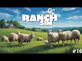 I Finally Got Sheep for My Ranch In Ranch Simulator #16