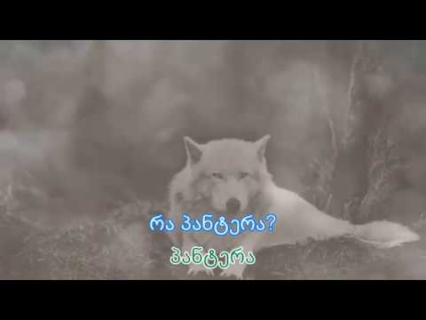 ფაიტონი - ძმისdzma ft. ვექილლ | lyrics