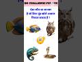 Gk Questions🙁😱||Gk Chalenge for you 🌸🤔||Gk in Hindi💥💯||#gkquiz #trivia #gkshorts #animalfacts #gk