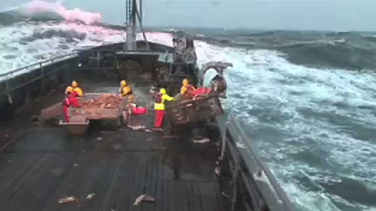 Experience Grundéns