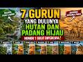 Fakta Mencengangkan: 7 Gurun Ini Dulunya Adalah Hutan!