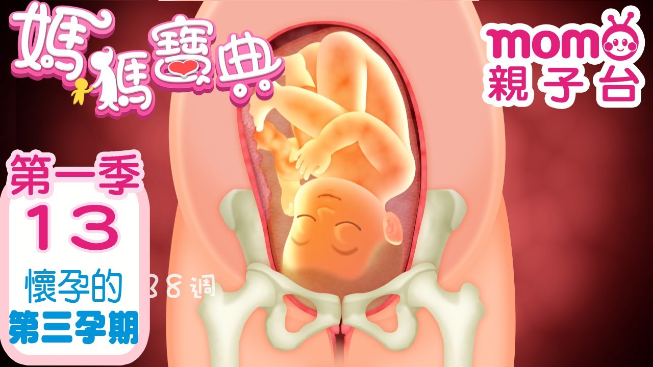 養胎不養肉 孕期就該這樣吃 媽咪產後也苗條 Zi 字媒體