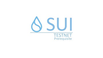 SUI Full Node Installation In Just 2 Minutes !!!