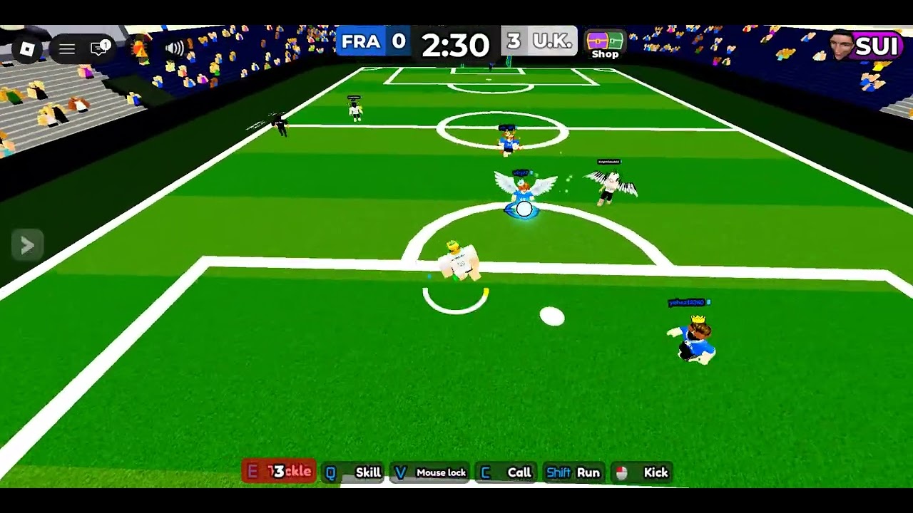 Roblox Team Soccer match with @shadow4566v