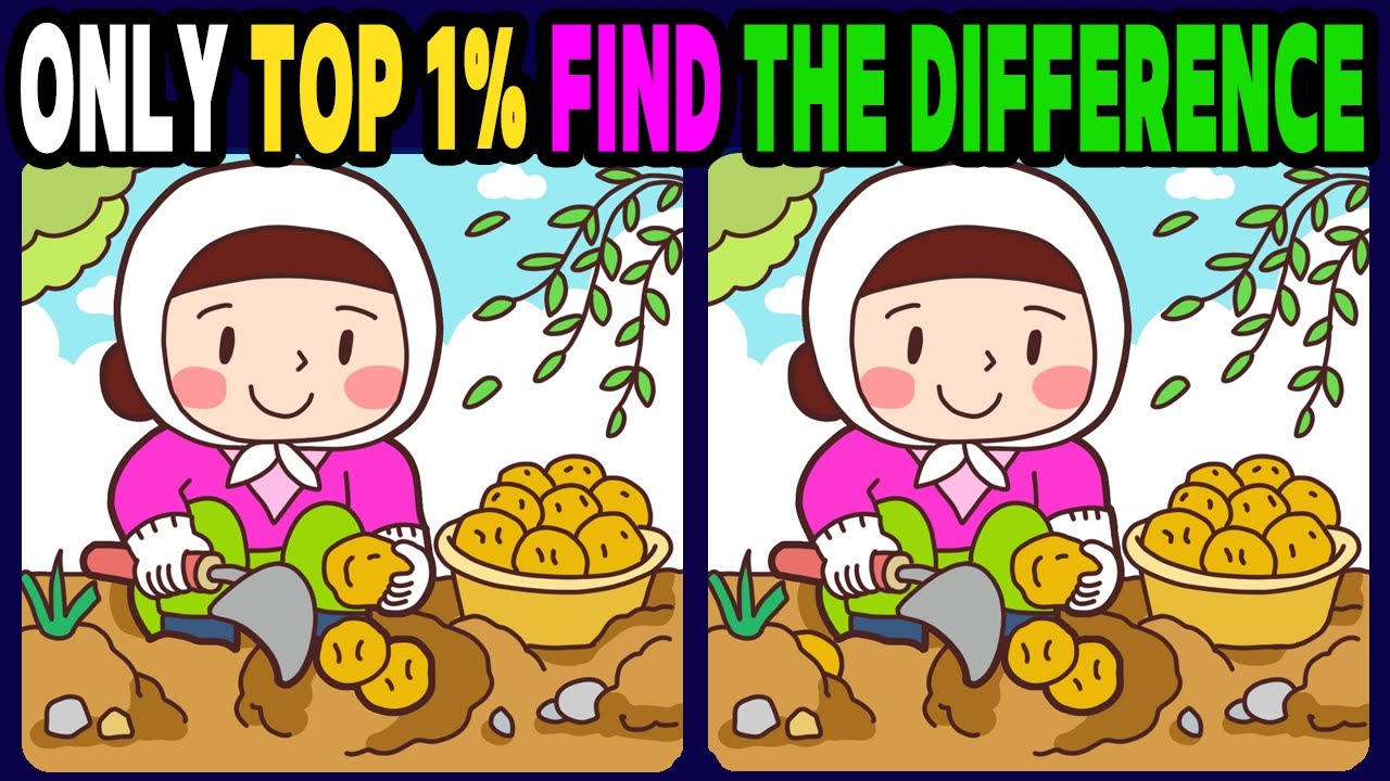 【Spot the difference】Only top 1% find the differences / Let's have fun ...
