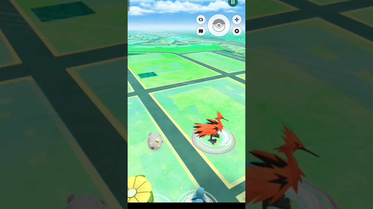 Galarian Zapdos 🥰 From daily Incense but😭 shorts YouTube