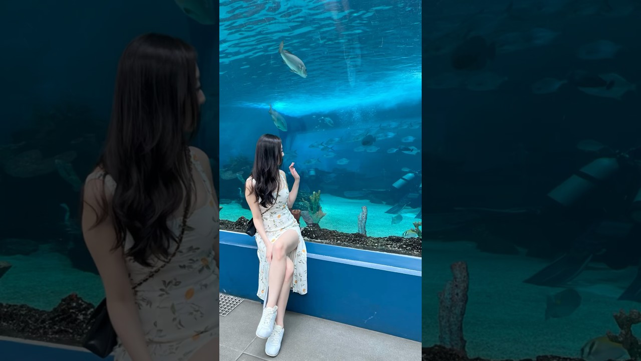 CEBU Ocean Park | Largest Oceanarium in the Philippines 🐟 
