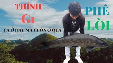 Câu Cá Trắm Đen Cùng Thính G1 - Thính Thuốc Bắc | Thính G1 Cá Cuốn Ổ | FIVE STARS FISHING