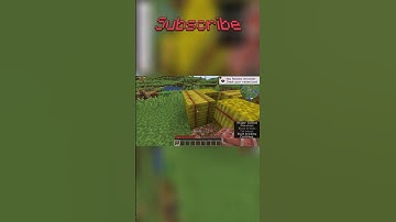 Minecraft but block drops are random #shorts #minecraft