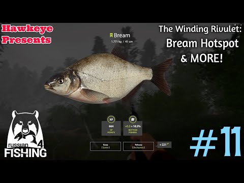 Russian Fishing 4 - REVISITED - #11: Winding Rivulet: Bream Hotspot & MORE!  