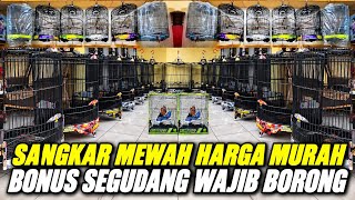 GETTING CRAZY! VARIOUS HIGH-QUALITY LUXURY EBOD JAYA CAGES SOLD FOR CHEAP WITH TONS OF BONUSES