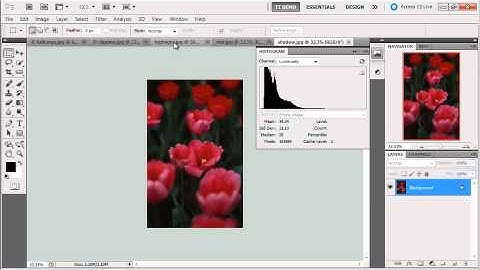 Adobe Photoshop CS5 Extended Essentials (Chapter 3 - Part 1)