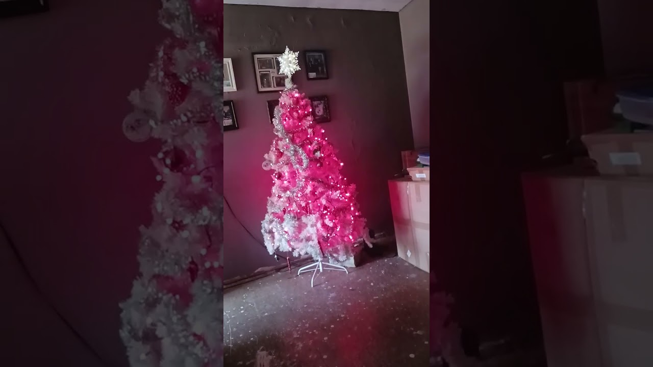 christmas gifts 2025 david anttila doris anttila seasparkles corner 