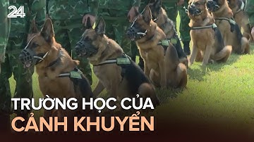 Trường học của những cảnh khuyển | VTV24