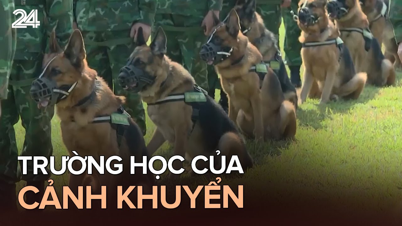 Trường học của những cảnh khuyển | VTV24