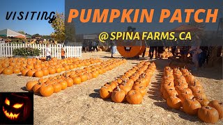 What's inside a Pumpkin Patch | Spina Farms Pumpkin Patch | Play Pumpkin Bowling, Corn Maze, Hayride