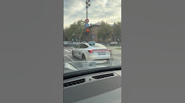 CONNECTED taillights on the Tesla Model 3 - how do you like this aftermarket solution?😎