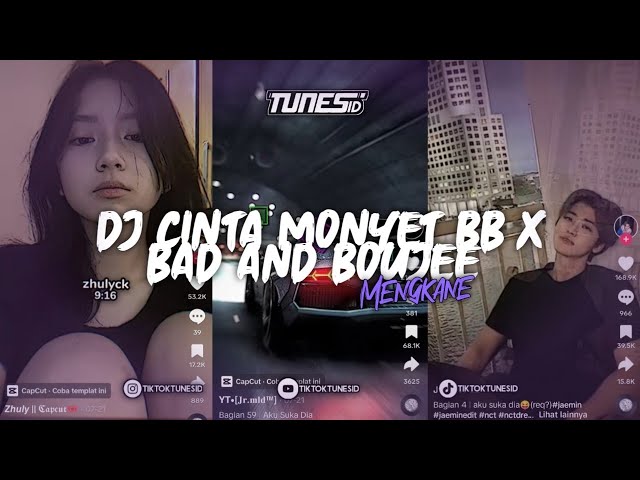 DJ CINTA MONYET BREAKBEAT X BAD AND BOUJEE MIGOS SOUND DRF411 MENGKANE class=