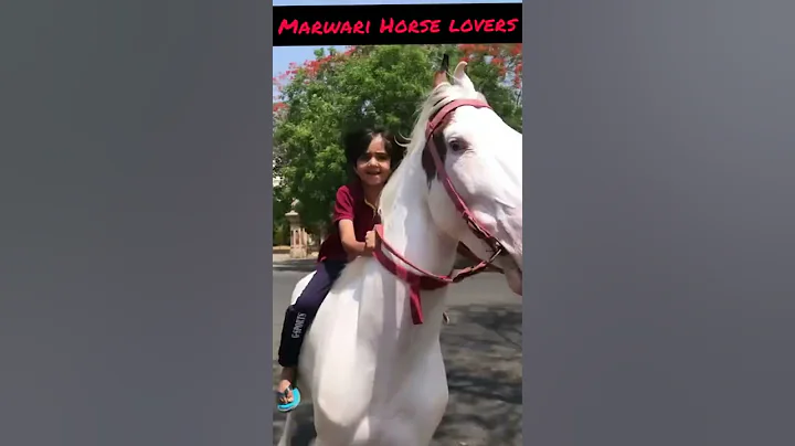 #horse#riding#shorts#trending - DayDayNews
