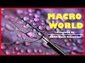 Macro world  peaceful piano music by patricia  govind  nmrk music relaxation