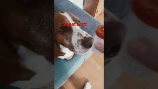 I made up did not each video isabelle ilkanaev