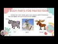 Download Animal Body Parts Uses Pictures