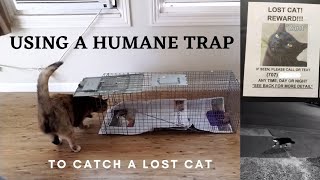 Tools to find a lost cat: Humane trap