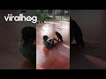Dog Holds Boys Feet For Sit Ups || ViralHog