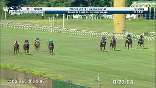 Vidéo de la course PMU PREMIO WATER LEVEL 2015