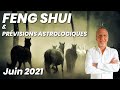 Prévisions Astrologiques & Feng Shui - Juin 2021 - Mois du Cheval de Bois 甲午