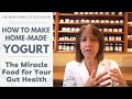 How to make homemade yogurt  the miracle food for your gut health