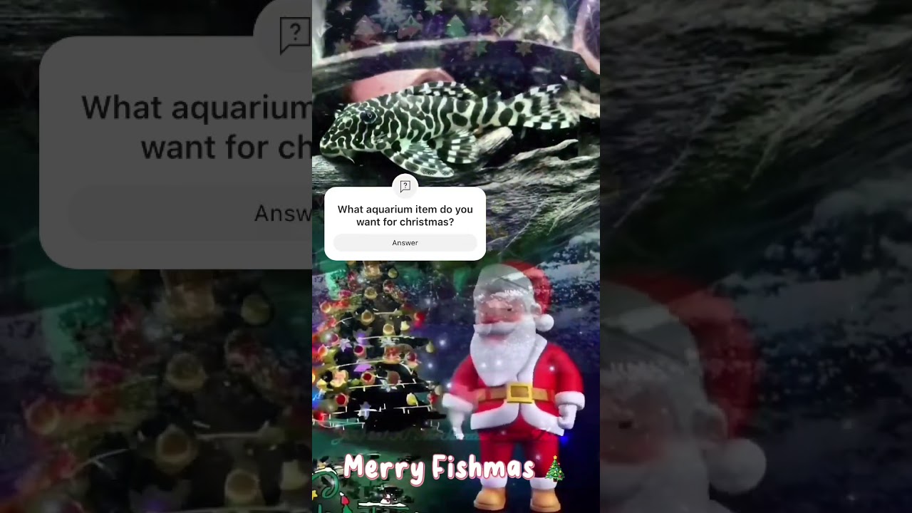 Merry Fishmas! 🎄🎁🎅 