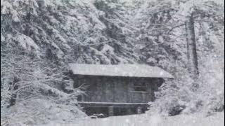 Mickey Simon - Vivaldi Winter (Trance Remix)