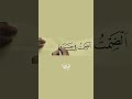 الصمت في حرم الجمال جمال نسخ