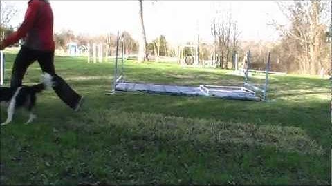 Sinjen running AFrame work #3 and #4