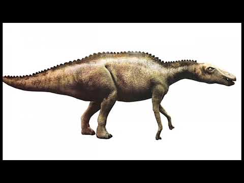 Dakota Sounds Edmontosaurus Annectens Sound Effetcs