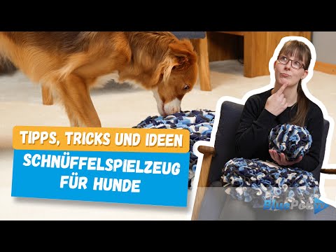 Schnüffelteppiche und Schnüffelbälle - Tipps, Tricks und Ideen für die Nasenarbeit | BluePet TV