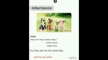 OOPS IN REAL LIFE. #oopsinjava #programming #inheritance #polymorphism #encapsulation #abstraction