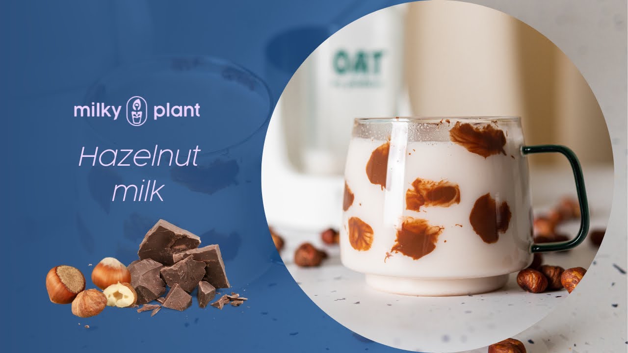 Homemade Hazelnut Milk Recipe Creamy Nut Goodness for Your Delight